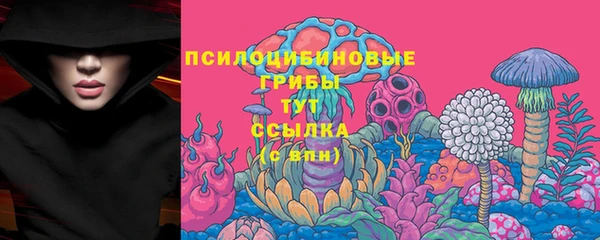 СК Аркадак