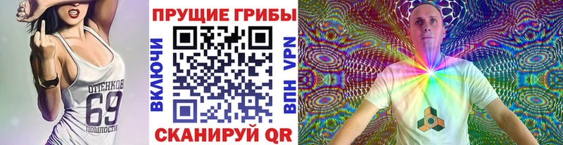 Купить  Михайловск  Галлюциногенные грибы Psilocybine cubensis 