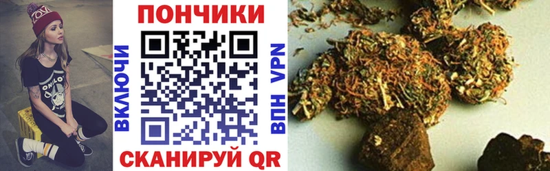 Купить закладки  Михайловск  Конопля White Widow 